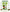 Immaculate Herbs Detox Tea