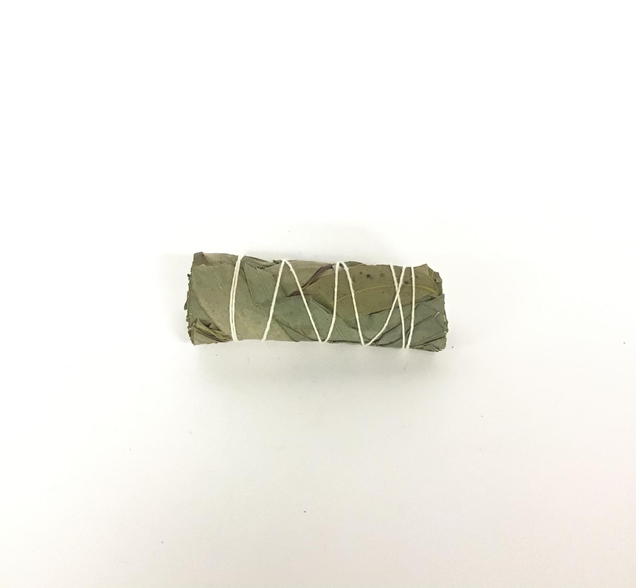 Eucalyptus