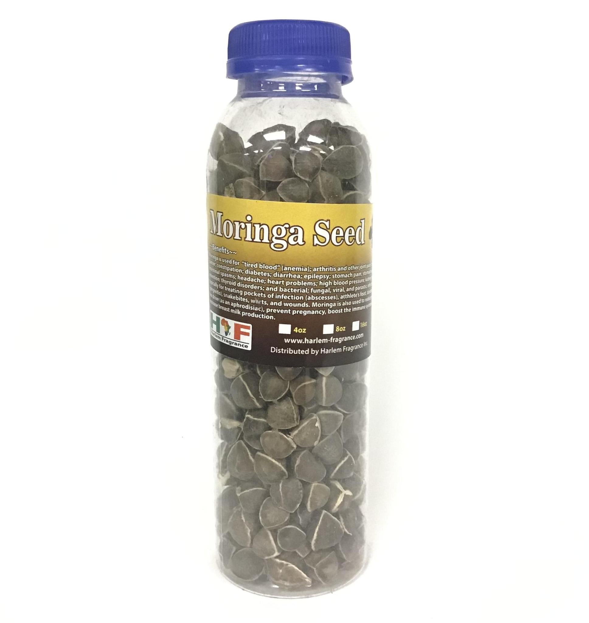 Moringa Seeds Bottle