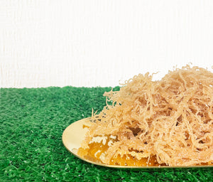 Sea Moss Raw Gold