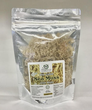 Sea Moss Raw Gold